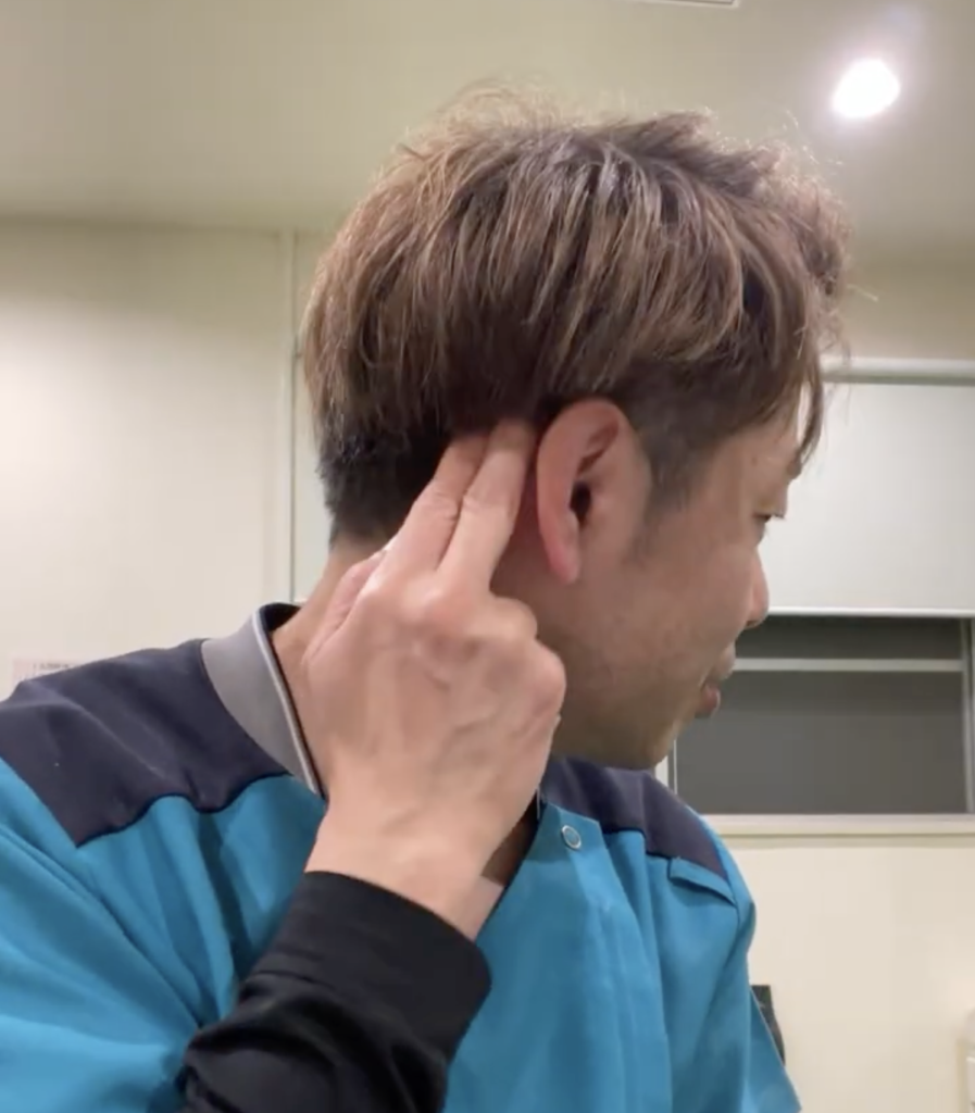 副交感神経の枝