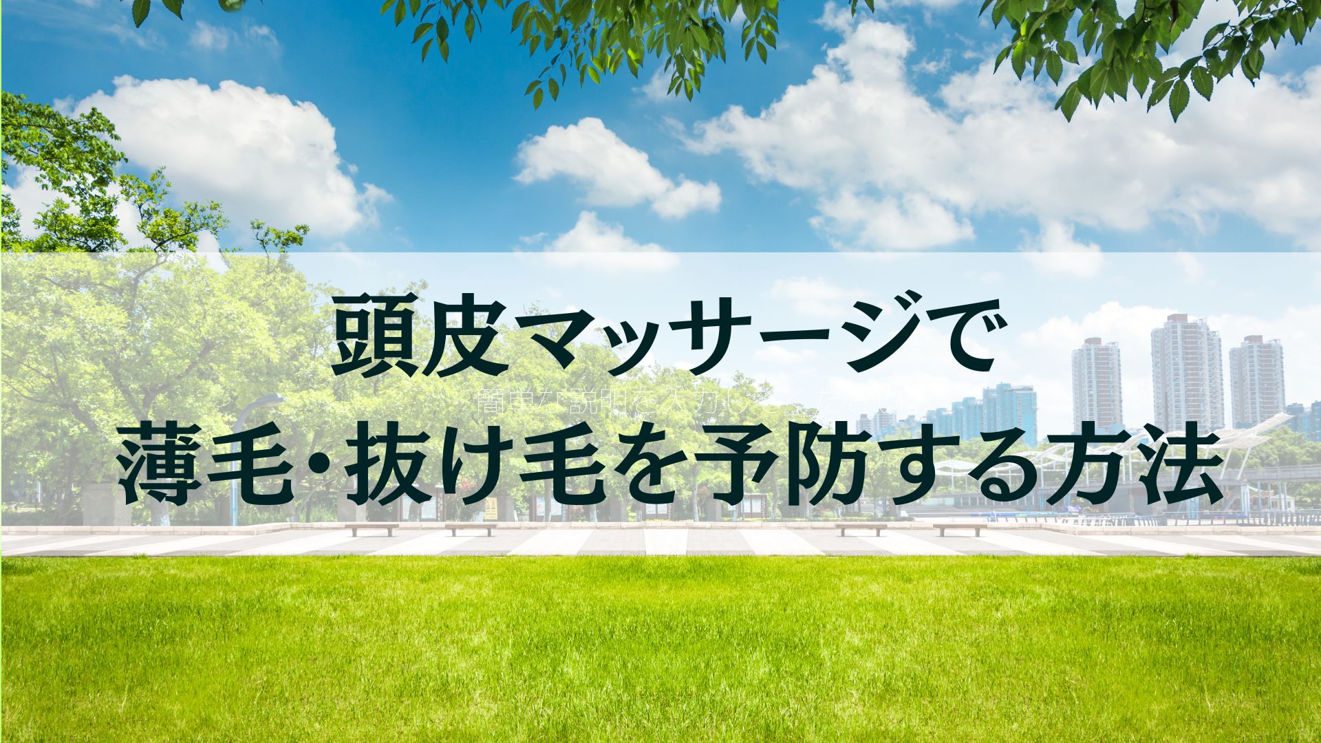 頭皮マッサージ